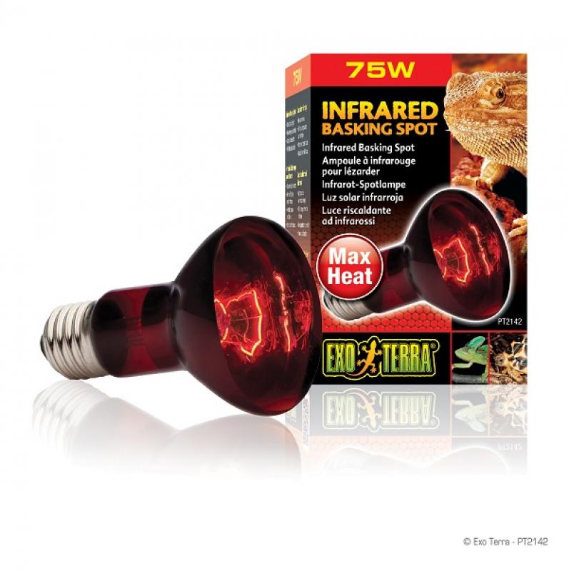 Lamp Warmte Exo Terra - Lamp Warmte Exo Terra