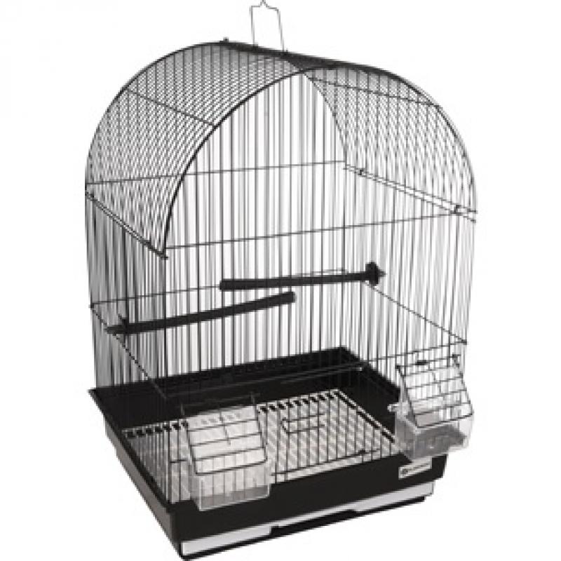 Sierkooi Flamingo - Sierkooi Flamingo