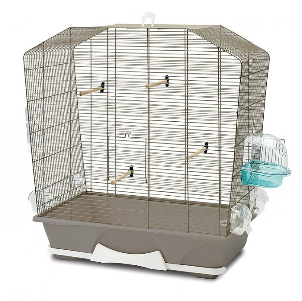 Sierkooi Savic - Sierkooi Savic