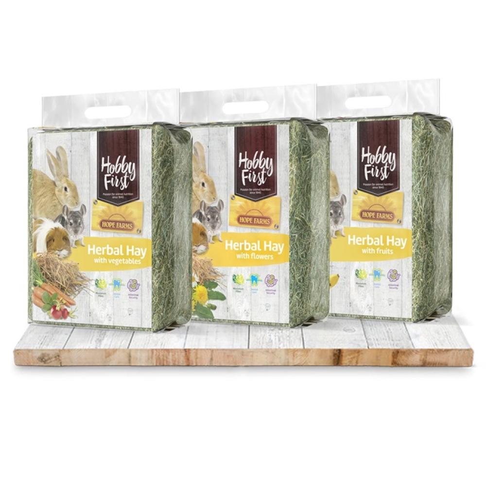 Hooi HobbyFirst - Hooi HobbyFirst