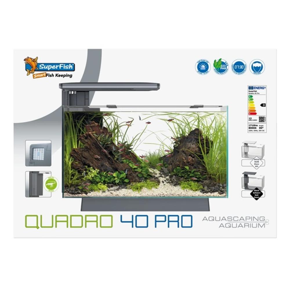 Aquarium SuperFish - Aquarium SuperFish