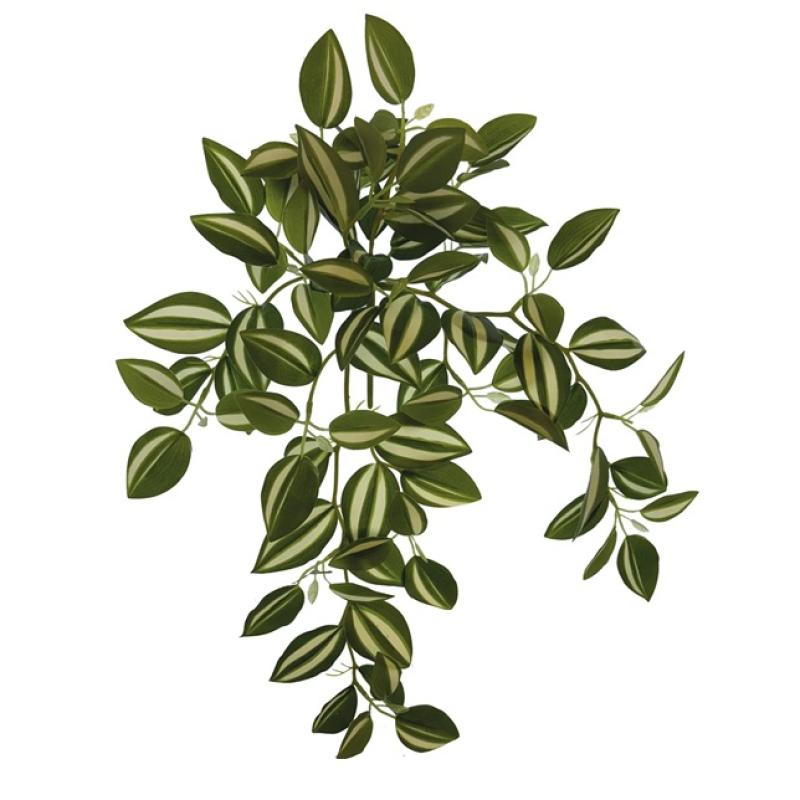 Repto plant - Repto plant