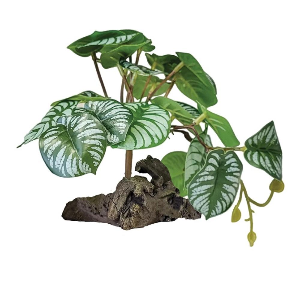 Repto plant - Repto plant