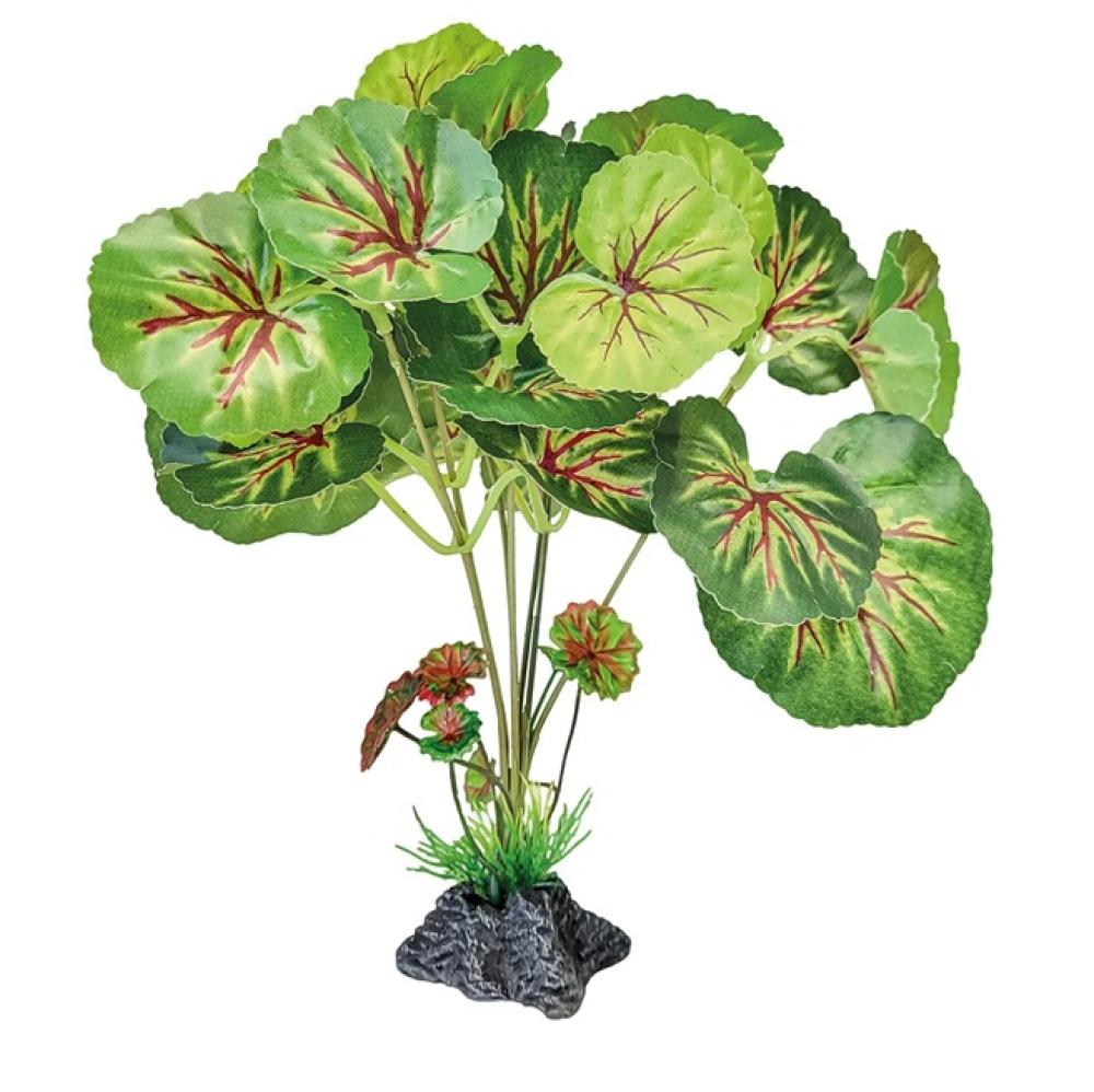 Repto plant - Repto plant