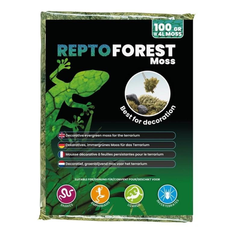 Terrariumbodem - Terrariumbodem