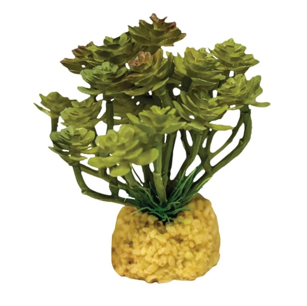 Repto plant - Repto plant