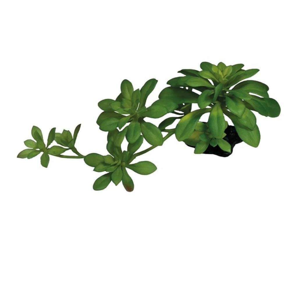 Repto plant - Repto plant