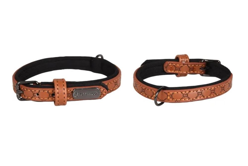 patti bruin - patti bruin