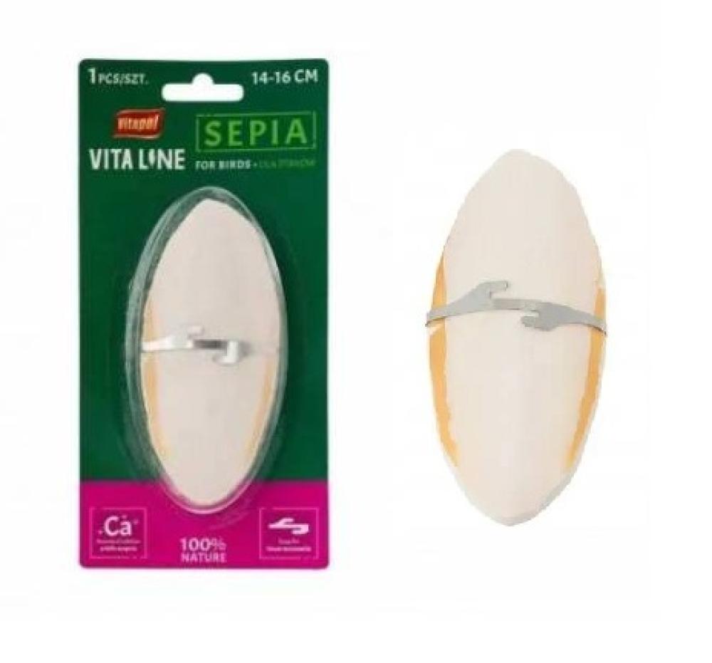 Sepia schelp - Sepia schelp