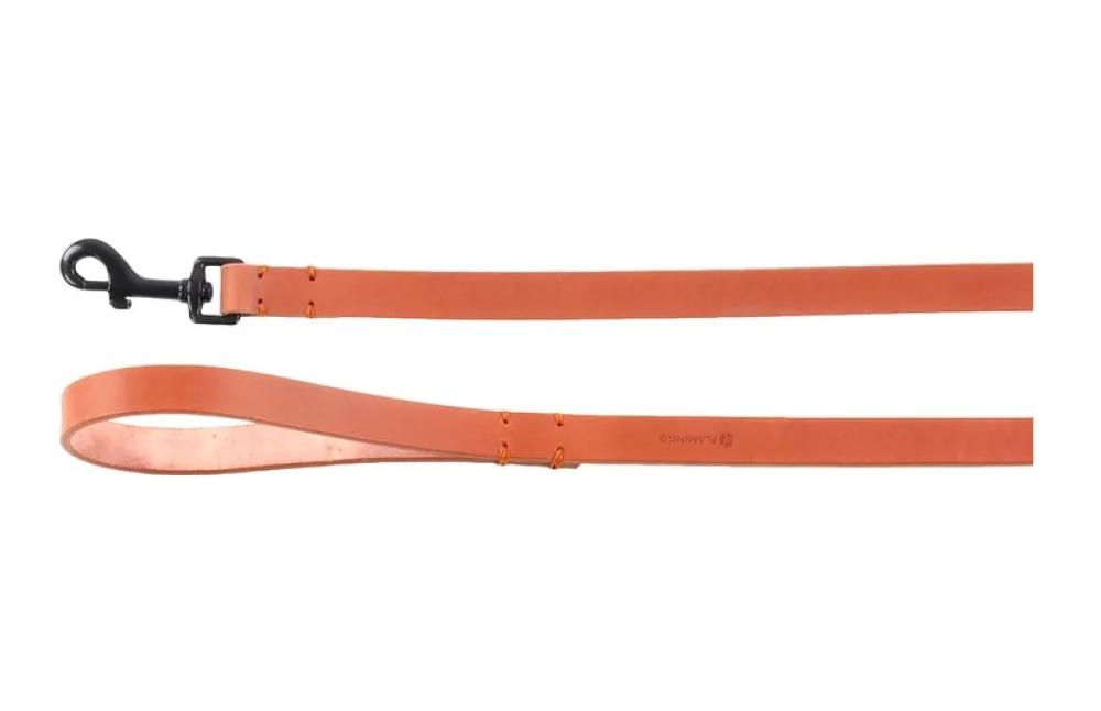 Leano cognac - Leano cognac