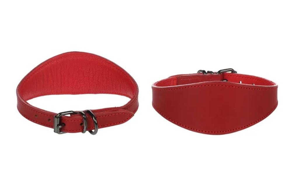 Denver Whippet rood - Denver Whippet rood