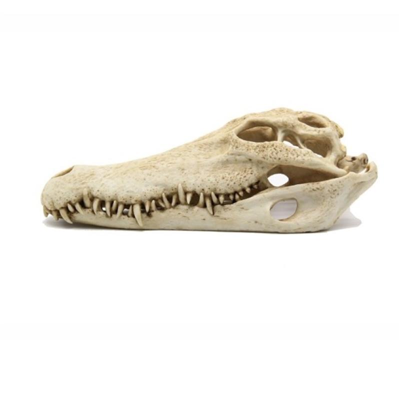 Deco Blue Belle - Deco Blue Belle