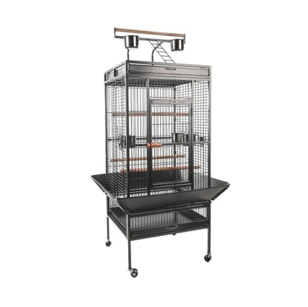 Sierkooi Papegaai - Sierkooi Papegaai