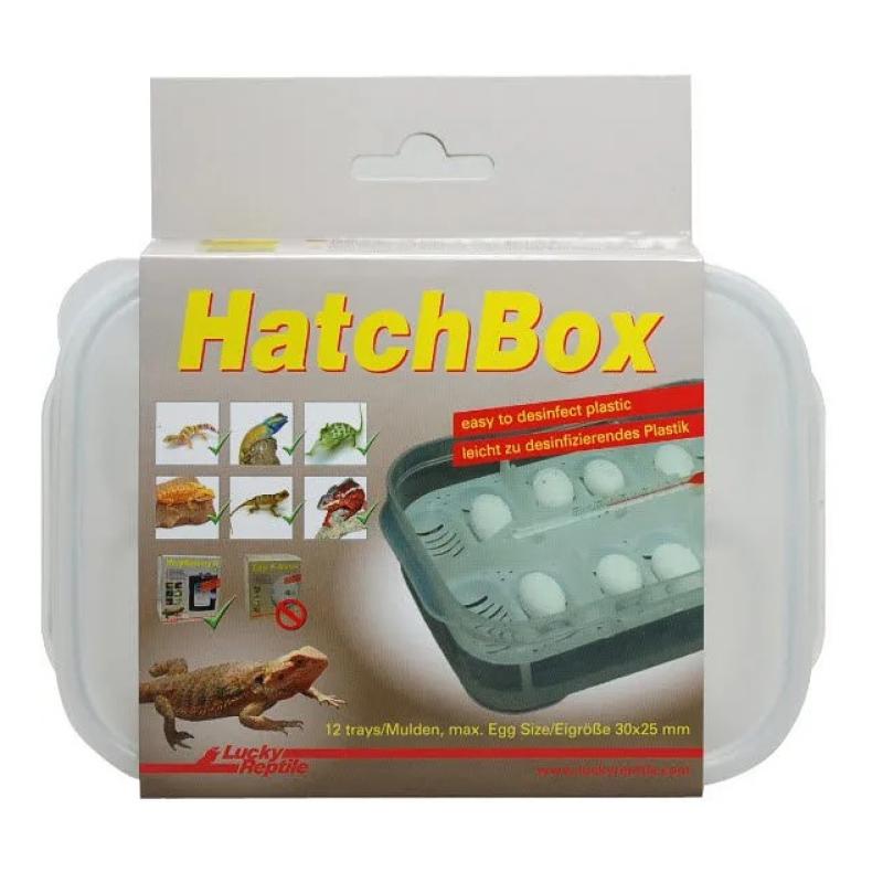 Broedkast Lucky Reptile - Broedkast Lucky Reptile