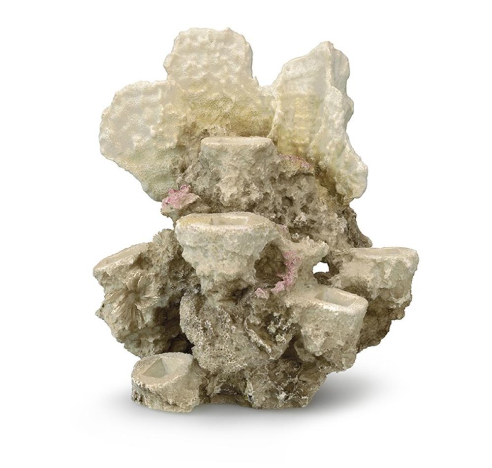 Deco Aqua Della - Deco Aqua Della