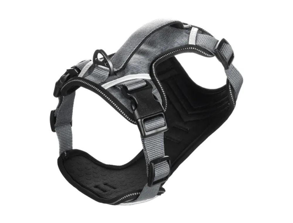 Heron grijs - Heron grijs