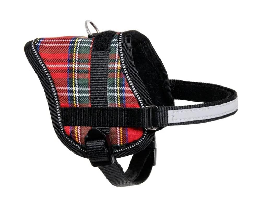 Eeny Meeny rood - Eeny Meeny rood