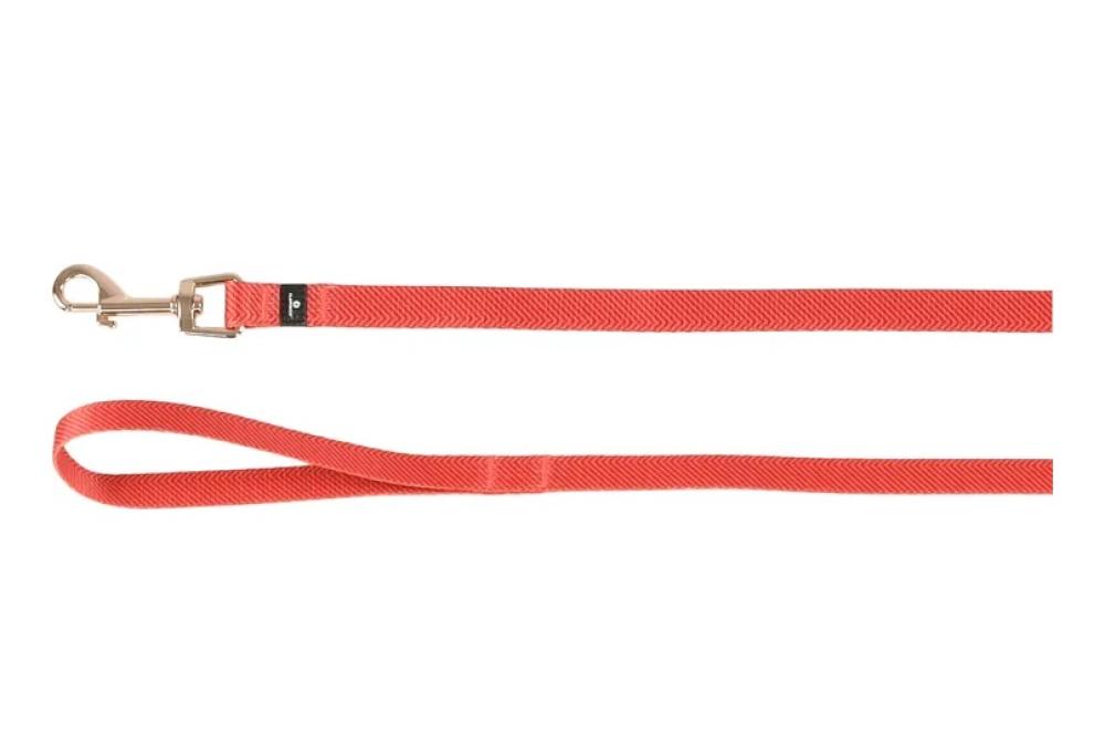 Noekie oranje - Noekie oranje