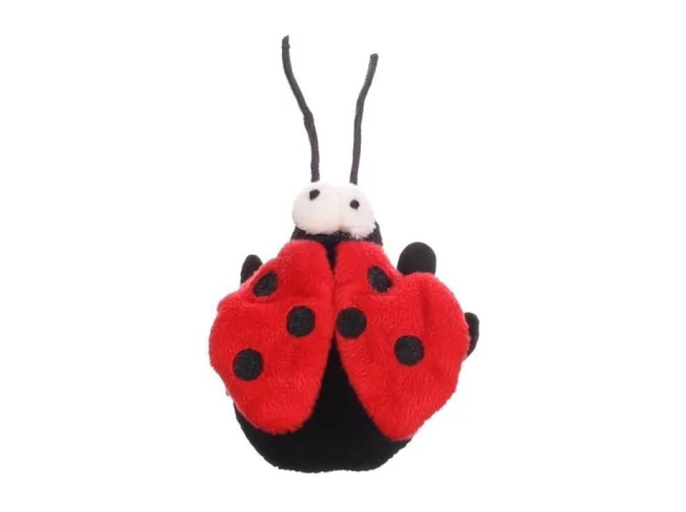 Zingu lieveheersbeestje - Zingu lieveheersbeestje