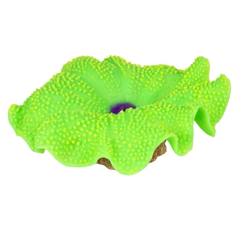 Deco Aqua Della - Deco Aqua Della