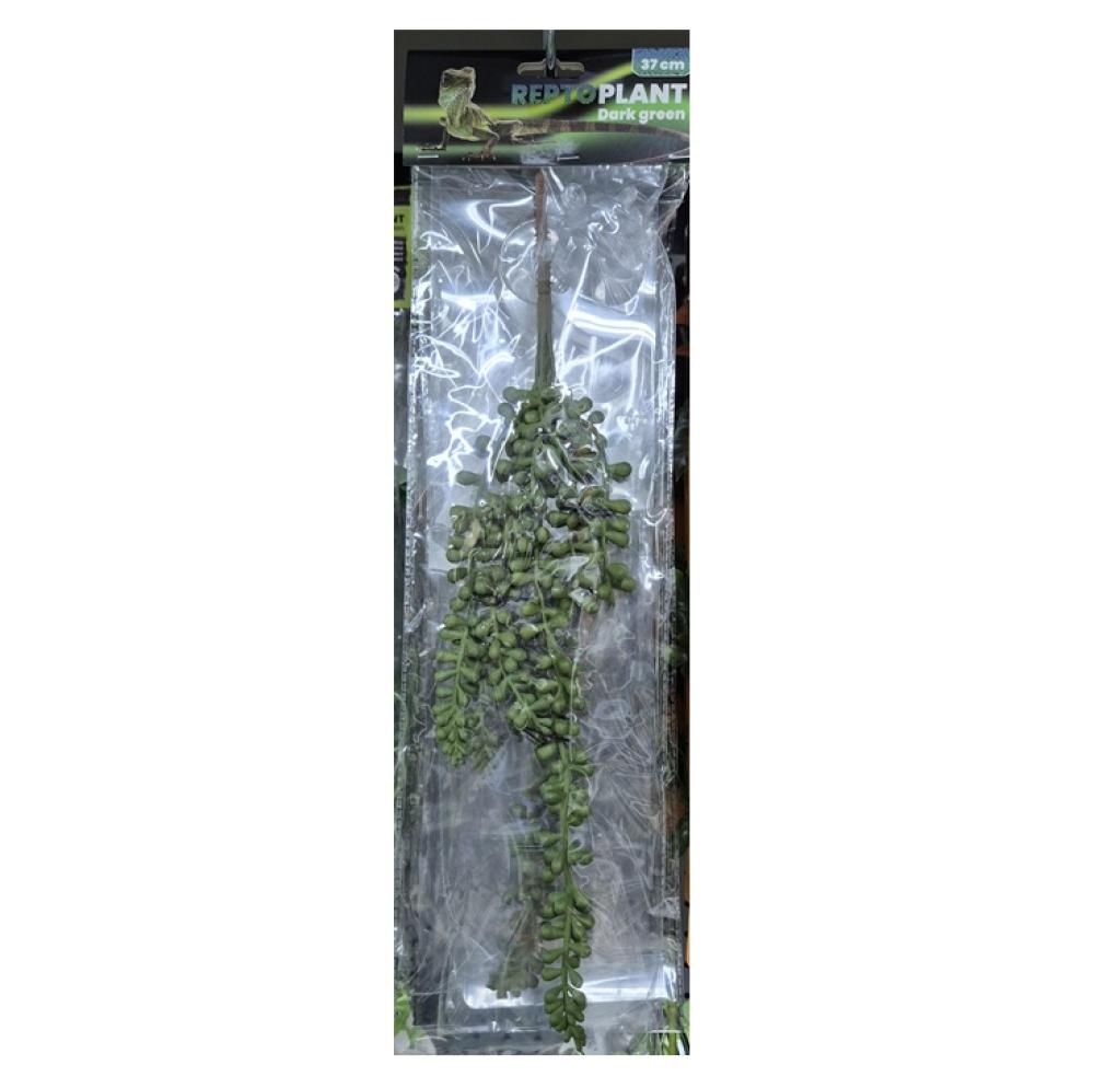 Repto plant - Repto plant