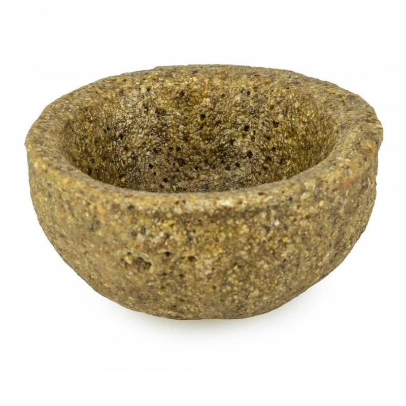 Back Zoo Nature - Back Zoo Nature