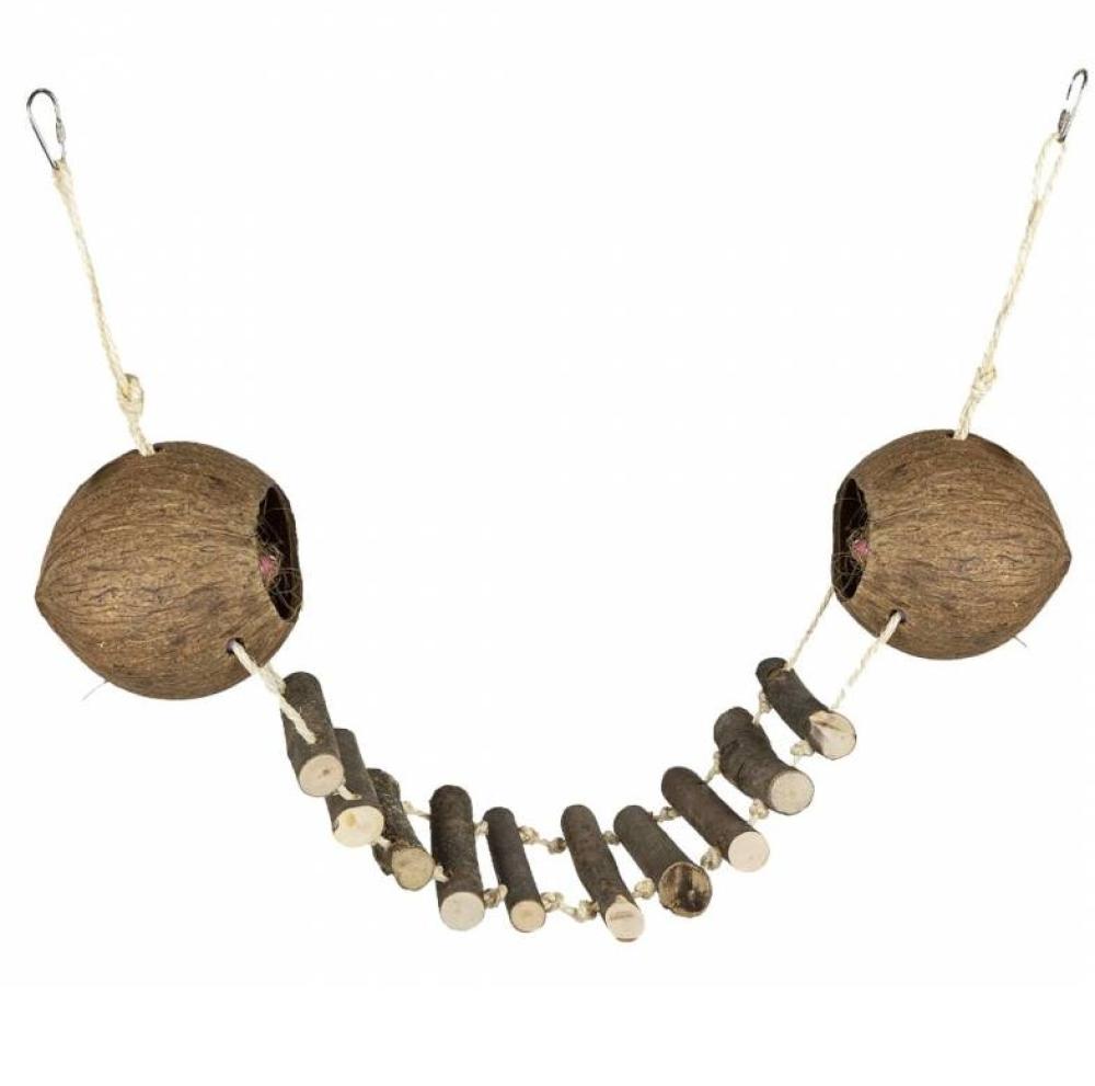 Back Zoo Nature - Back Zoo Nature