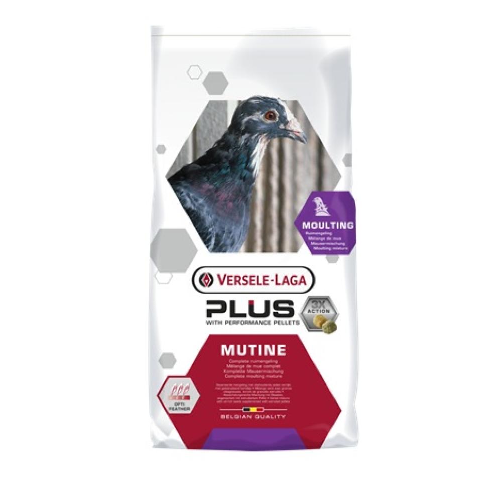 Duiven Versele-Laga - Duiven Versele-Laga